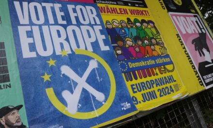 Don’t bother voting in European election
